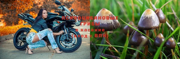 ALPHA PVP Володарск
